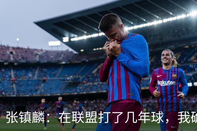 张镇麟：在联盟打了几年球，我确实有些叛逆，这话究竟是啥意思？